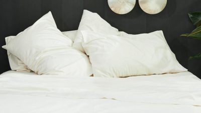 Vegan Silk Pillowcase – Agave Fiber – Ettitude Unveiled