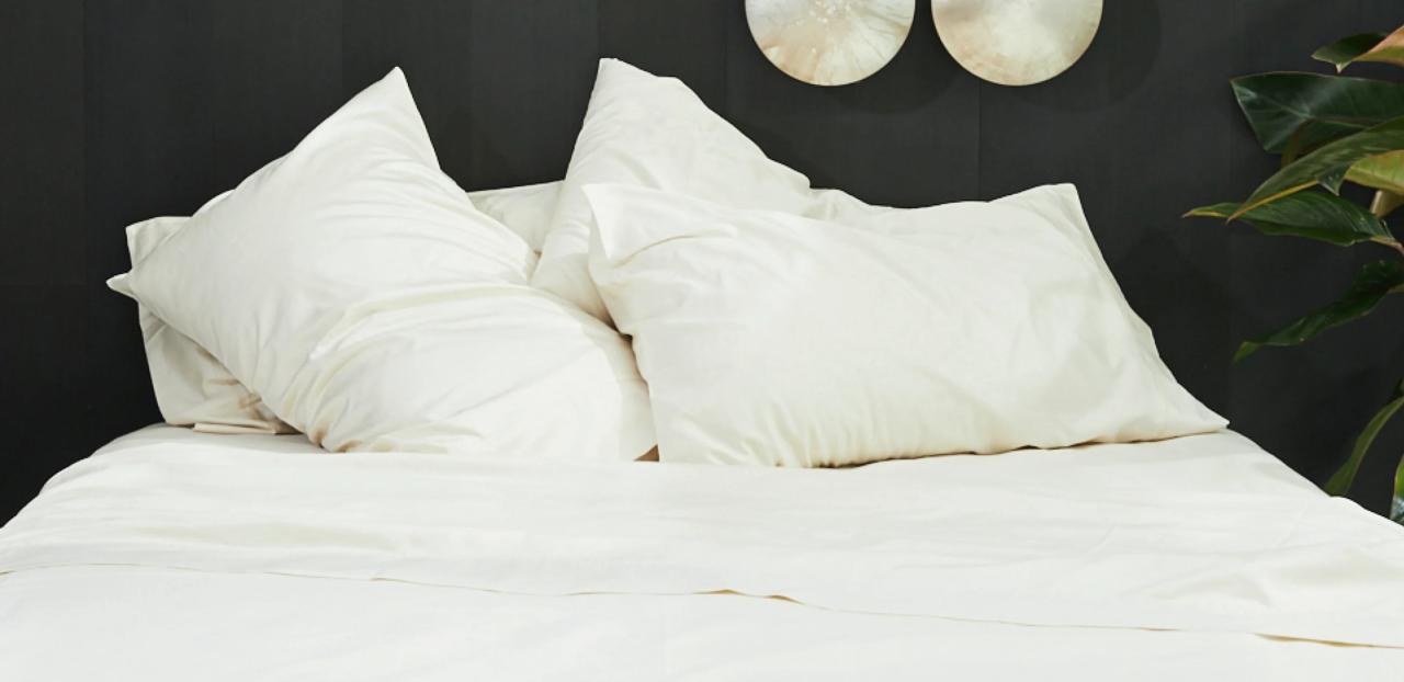 Vegan Silk Pillowcase – Agave Fiber – Ettitude Unveiled