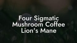 Lions Mane – Nootropic Mushroom – Four Sigmatic Benefits