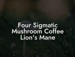 Lions Mane – Nootropic Mushroom – Four Sigmatic Benefits