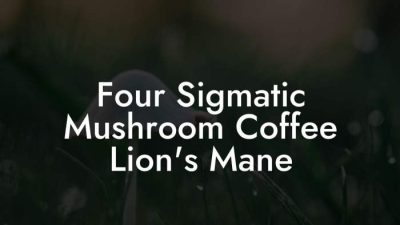 Lions Mane – Nootropic Mushroom – Four Sigmatic Benefits