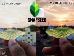 Photo Editing App – Mobile Retouching – Snapseed