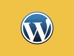 Content Management System (CMS) – Blogging – WordPress Simplified
